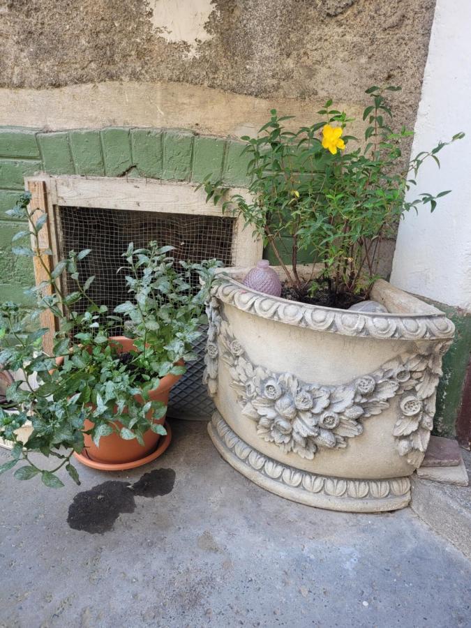 Secret Garden Apartment Zagreb Buitenkant foto